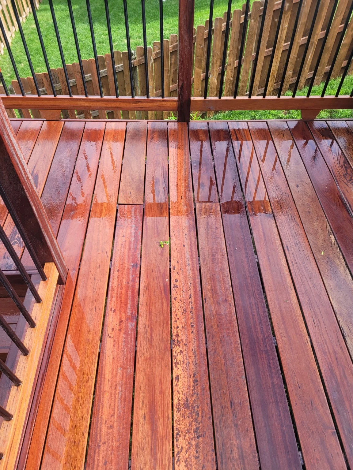 Close view of fifteen-year-old Tigerwood decking wet after cleaning