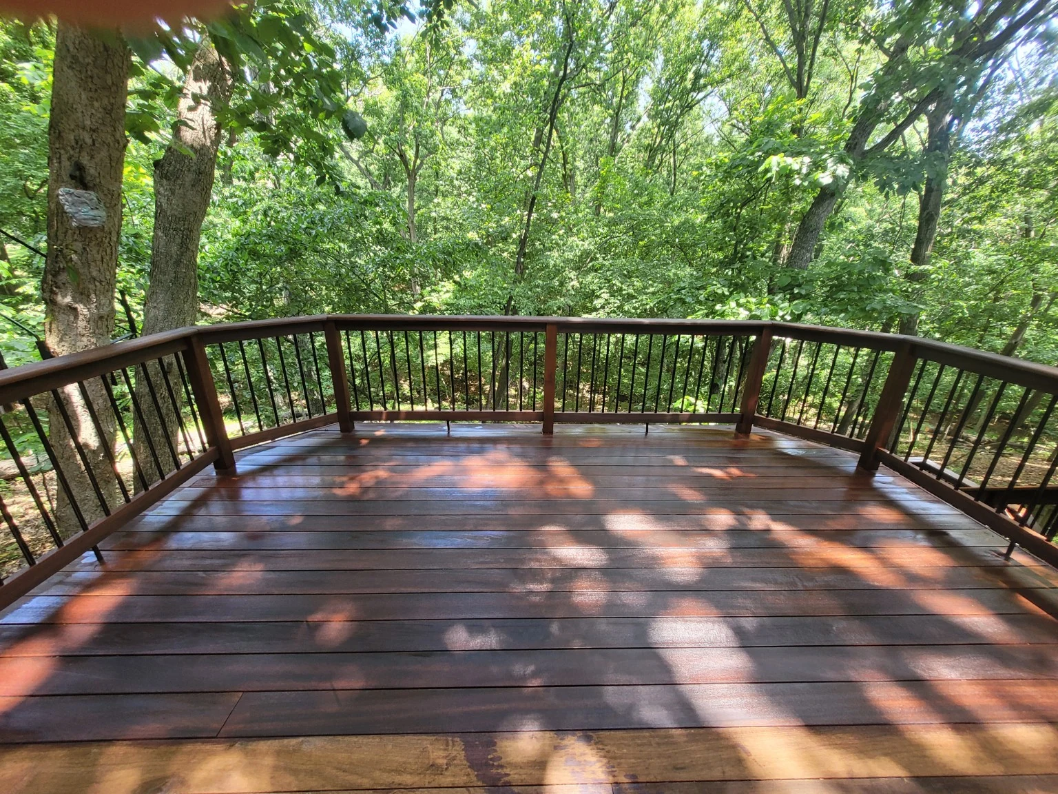Restored Tigerwood deck surrounded by mature trees